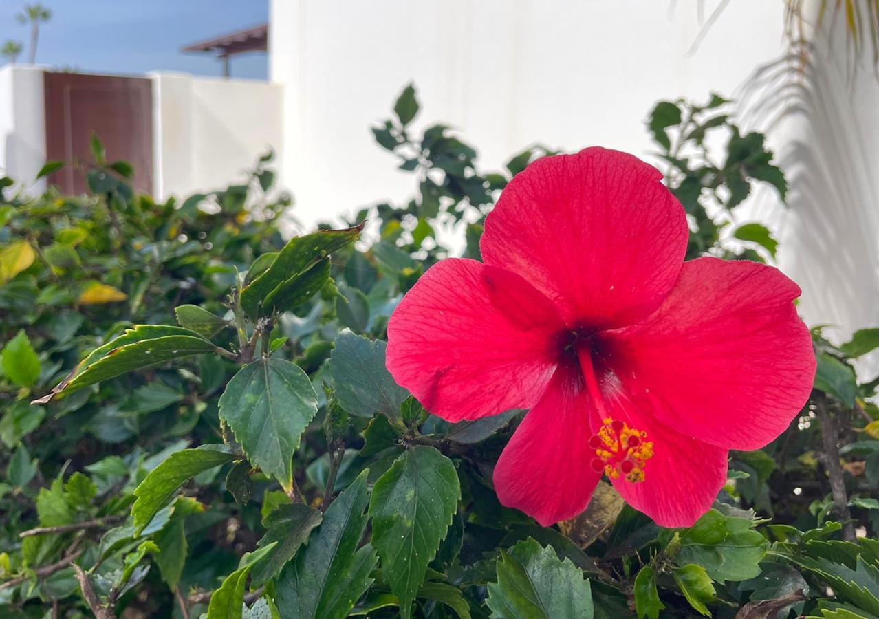 Villa Charlotte Tías Dış mekan fotoğraf
